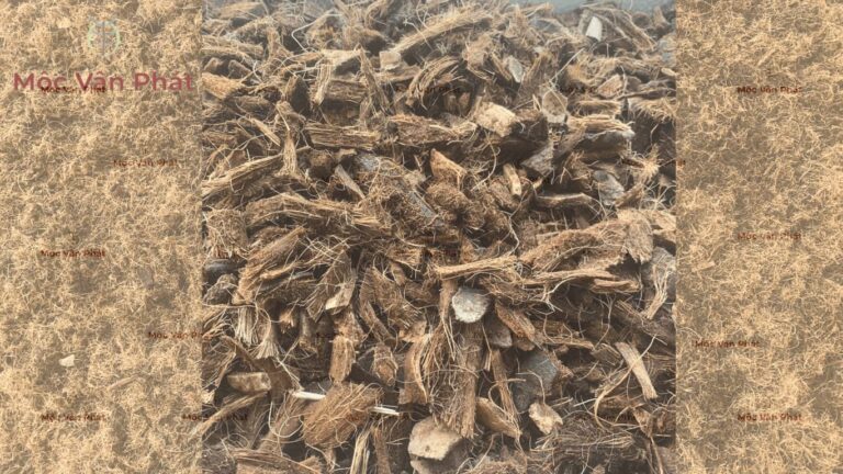 kiểm định chất lượng xơ dừa sản phẩm vụn dừa