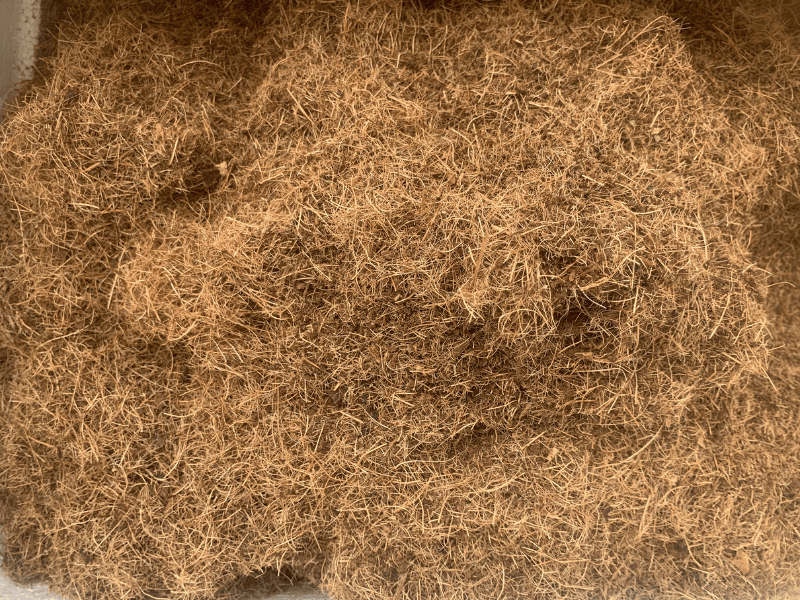 ngay_13_sang_va_loc_xo