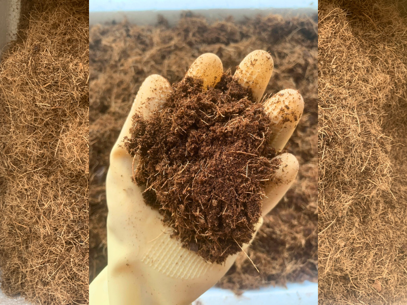 ngay_14_dua_xo_di_kiem_nghiem