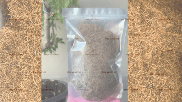 xo_dua_sau_khi_duoc_dong_goi