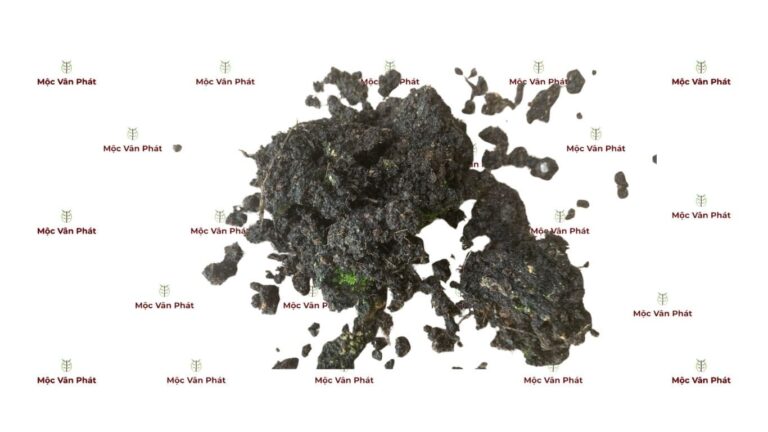 Bên trong đất trồng cây đóng bao giá rẻ có gì (1)