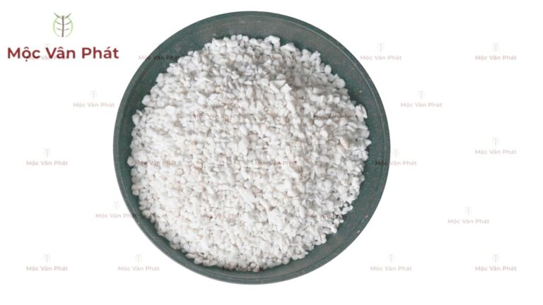 Đá Perlite là gì Tại sao lại trở thành cứu cánh cho bộ rễ
