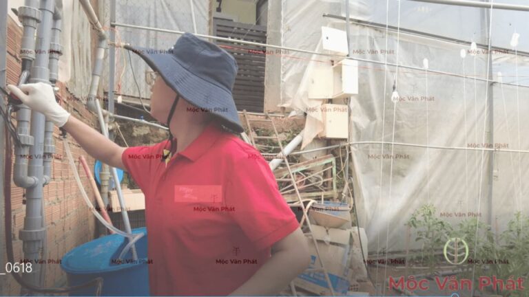 Hướng dẫn cách tưới nước cho cây tại nhà vườn Đà Lạt