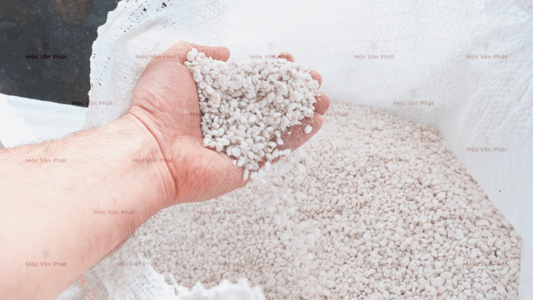 cận_cảnh_đá_perlite_đá_trân_châu