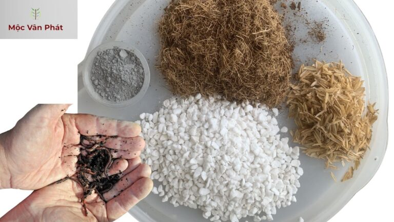 nguyên liệu phối trộn giá thể thay thế đất trồng cây đóng bao giá rẻ