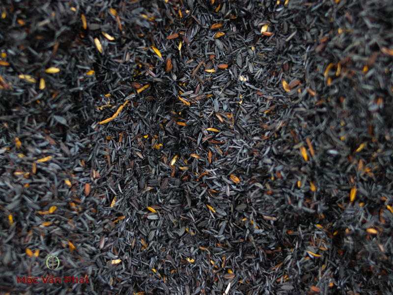 trấu_vàng_và_trấu_hun